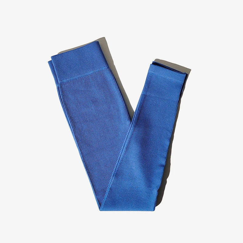 Ribbed Seamless High-Waist Leggings