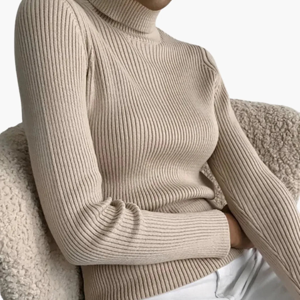 Soft Knit Turtleneck Sweater